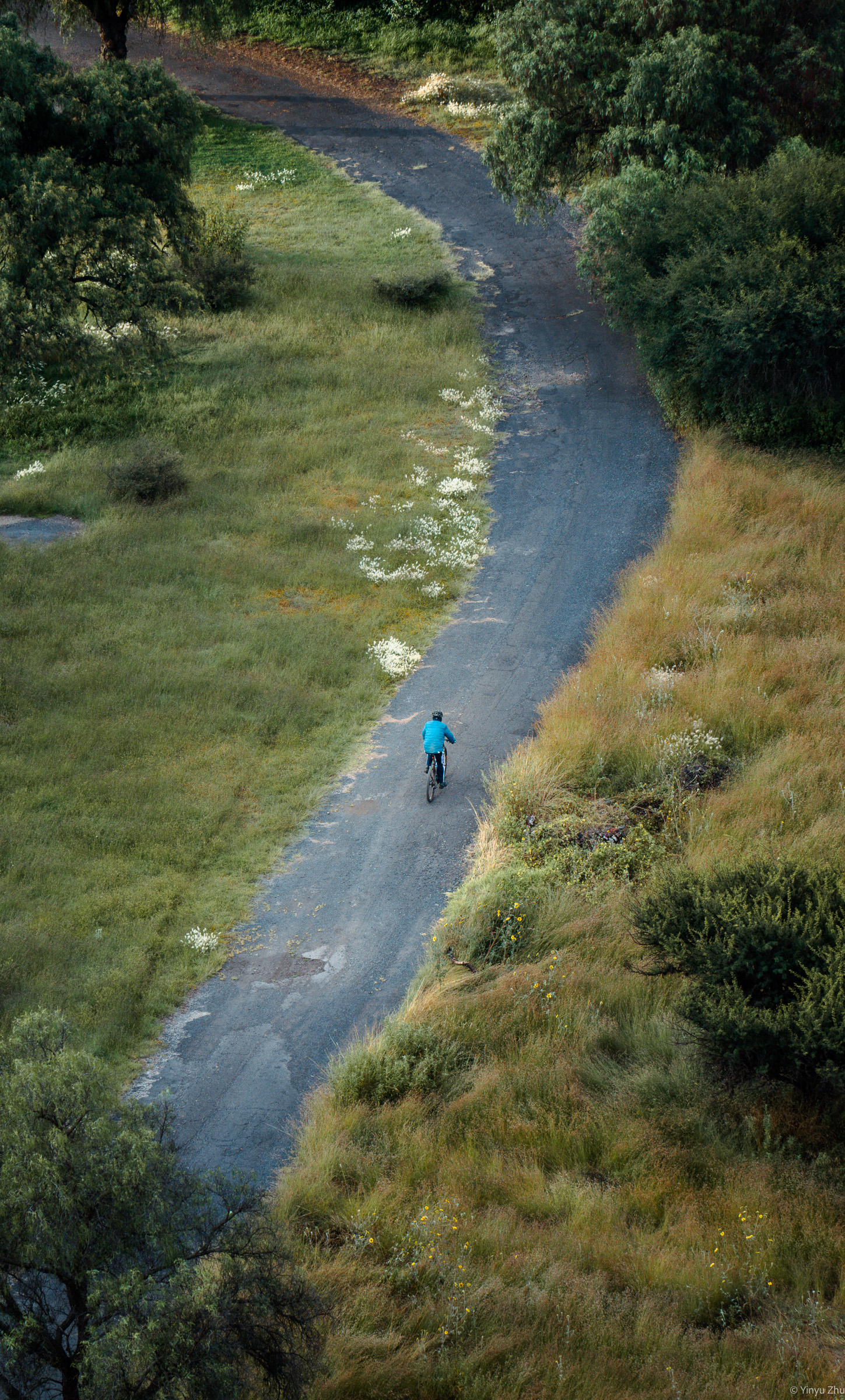 LANDSCAPES 11