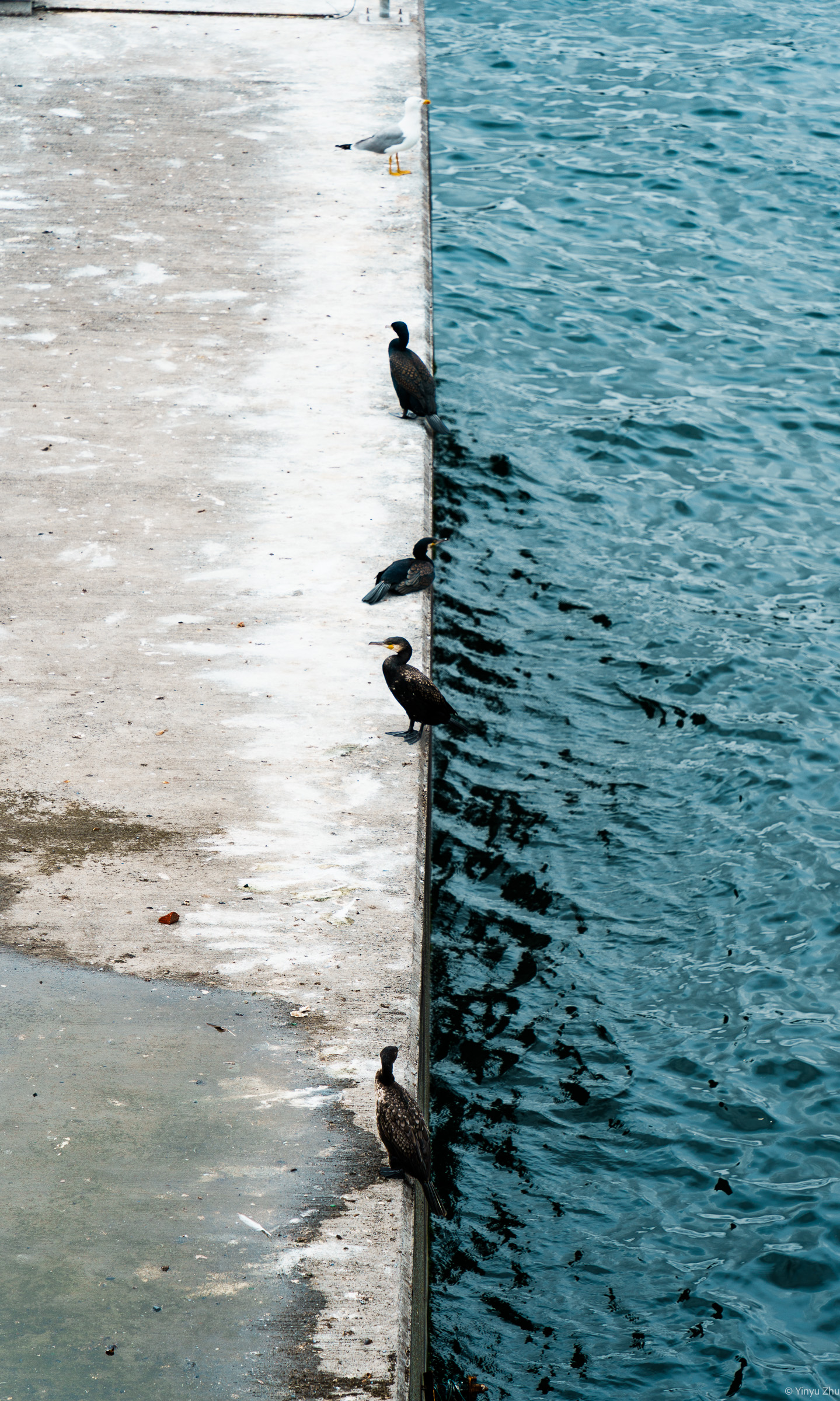 STREETS 09